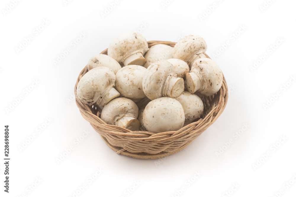 Mushroom champignon in a bowl isolated on white background Mushroom champignon in a bowl isolated on white background