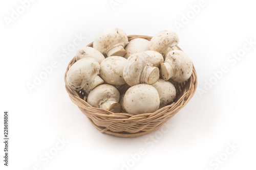 Mushroom champignon in a bowl isolated on white background
