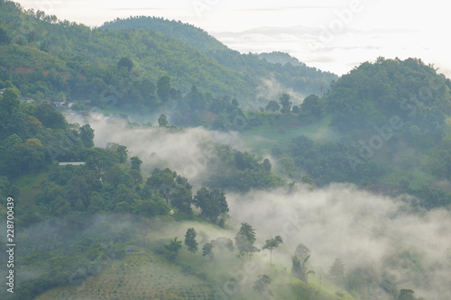 Mist on hill.