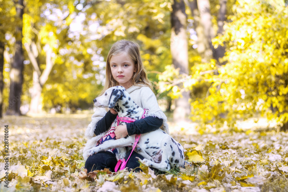 The girl with a dog in the park The girl with a dog in the park