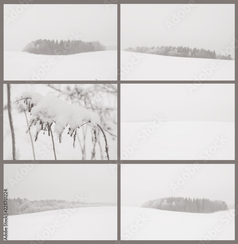 Коллаж из шести зимних фото: пейзажи и крупный элемент ( сухая, заснеженная ветка)