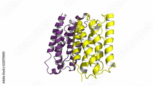 human interferon beta, rotating cartoon model, seamless loop.