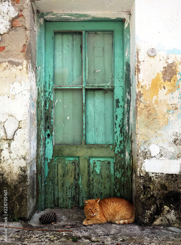 El gato en la puerta. © Federico