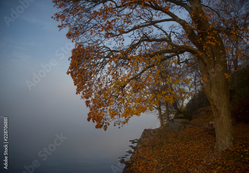 Photography Lake Malaren in stockholm an early cold and foggy autumn day, shilouettes and re