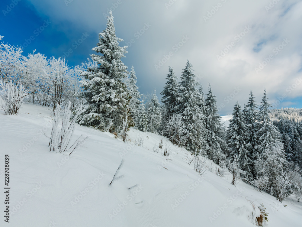 Winter mountain snowy landscape Winter mountain snowy landscape