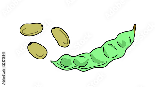 Vector of soybeans and soy seeds. Colorful cartoon with different presentations of soy plant. Icon or logo isolated.