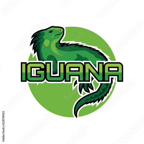 iguana logo for your business, vector illustration
