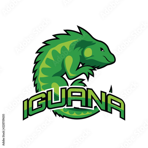 iguana logo for your business, vector illustration