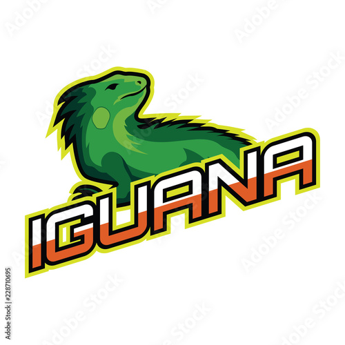 iguana logo for your business, vector illustration