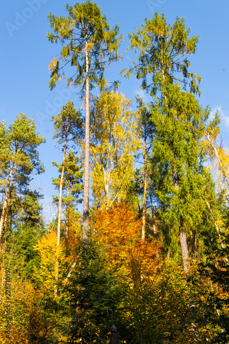 the beginning of the Golden Polish Autumn.