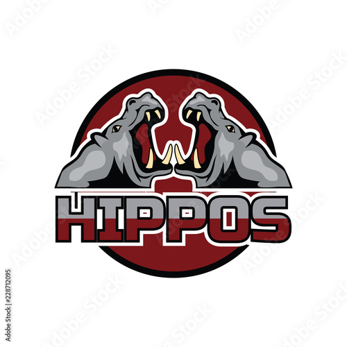  hippo logo for your business, vector llustration