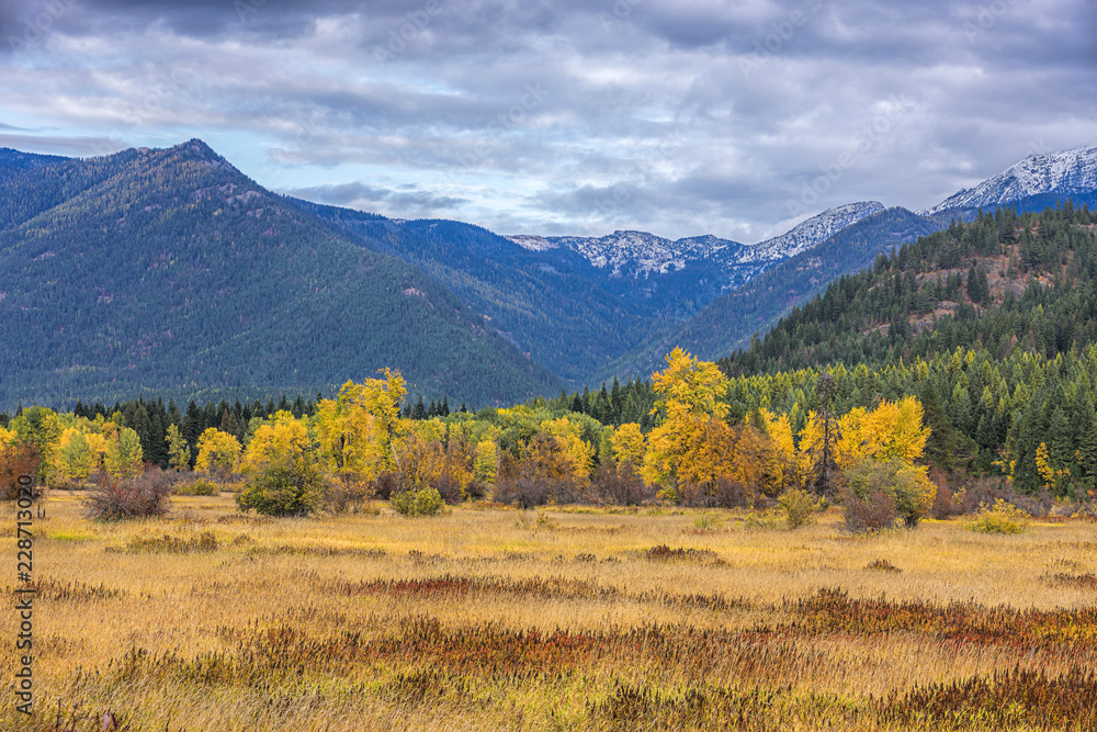 Montana valley in autumn