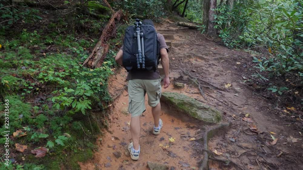 Person Hiking With Backpack Follow. view from behind someone walking up a trail in the woods with a backpack and tripod Person Hiking With Backpack Follow. view from behind someone walking up a trail in the woods with a backpack and tripod