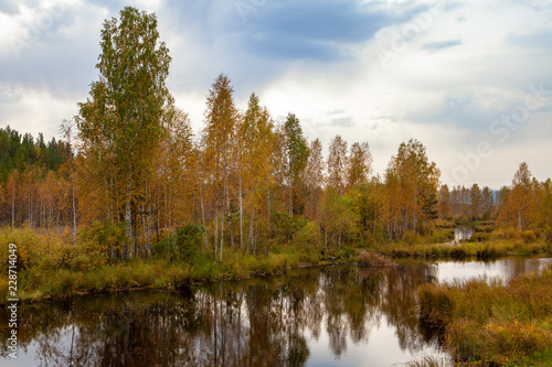Autumn beautiful forest on the banks of the pond background © Дмитрий 