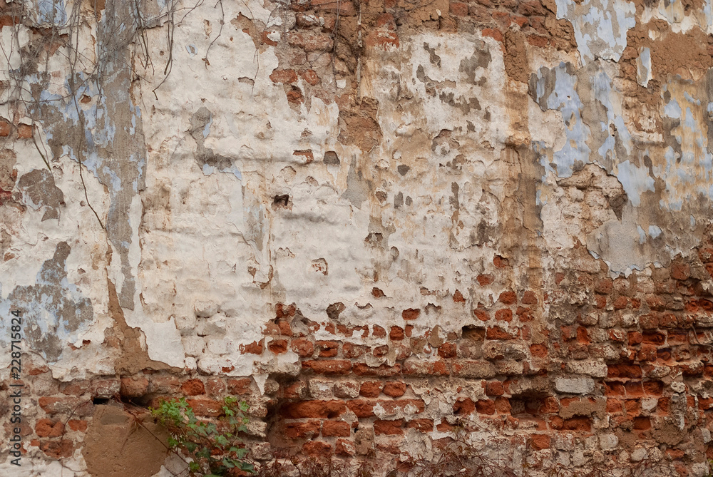 die mauer die mauer
