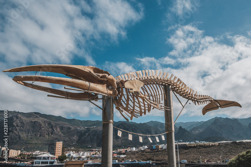 Whale skeleton in Los Silos on Tenerife, Canary Islands