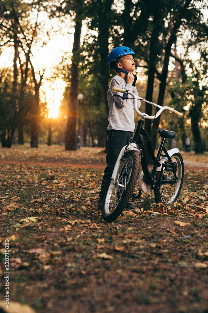 Fototapeta premium autumn ride in park