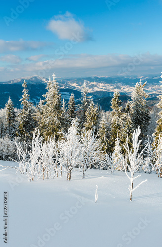 Winter mountain snowy landscape photo