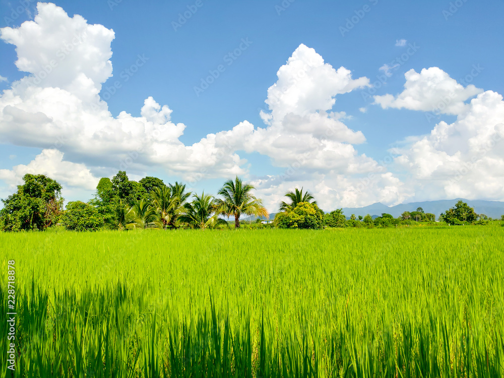 Fields, mountains and clouds on the weather’s fine. Fields, mountains and clouds on the weather’s fine.