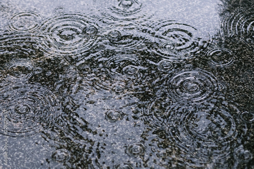 Fototapeta premium Rain drops in the water heavy on asphalt shade of black shadow and reflection of dark sky in the city. high contrast during autumn