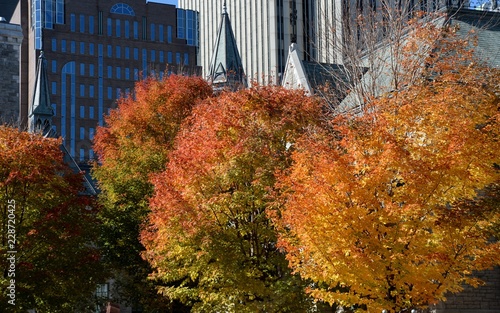Fall in Ottawa