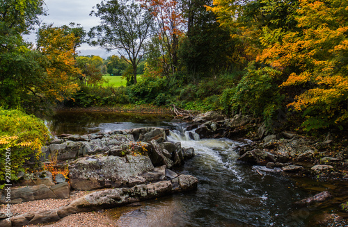water flowing over rocky creek bed with golden hues of fall autumn foliage 