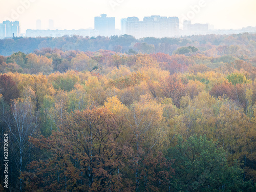 forest and city on horizon at autumn sunrise