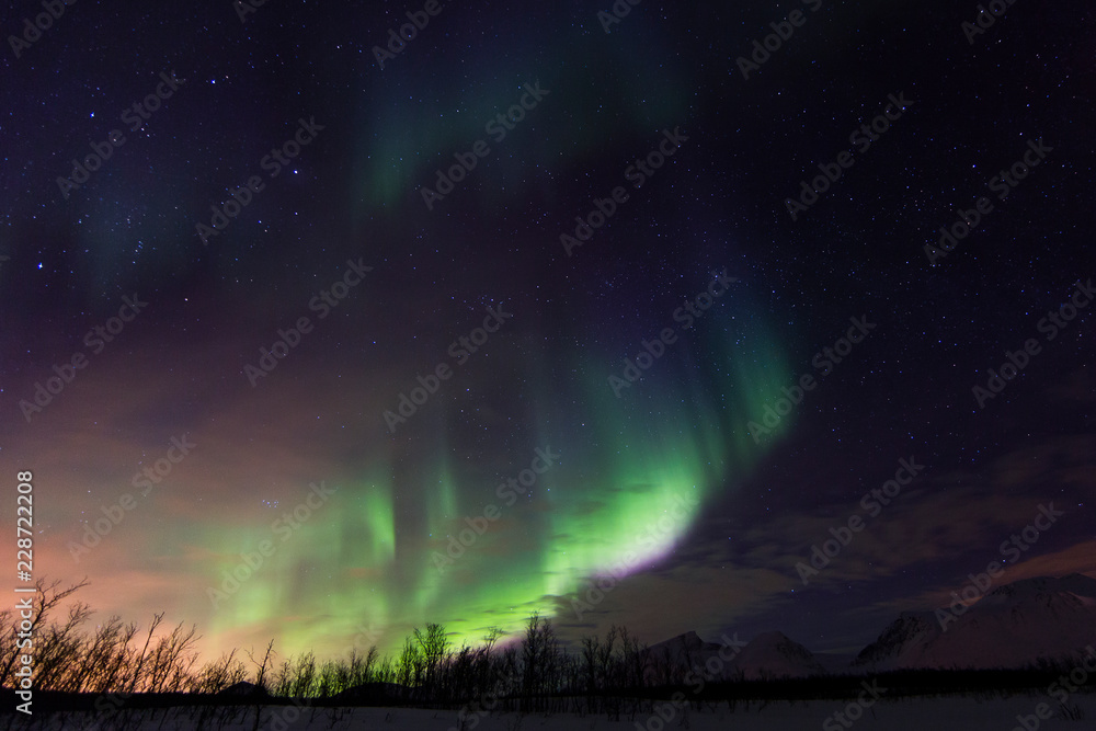 Tromso, Norway. Northern lights display.