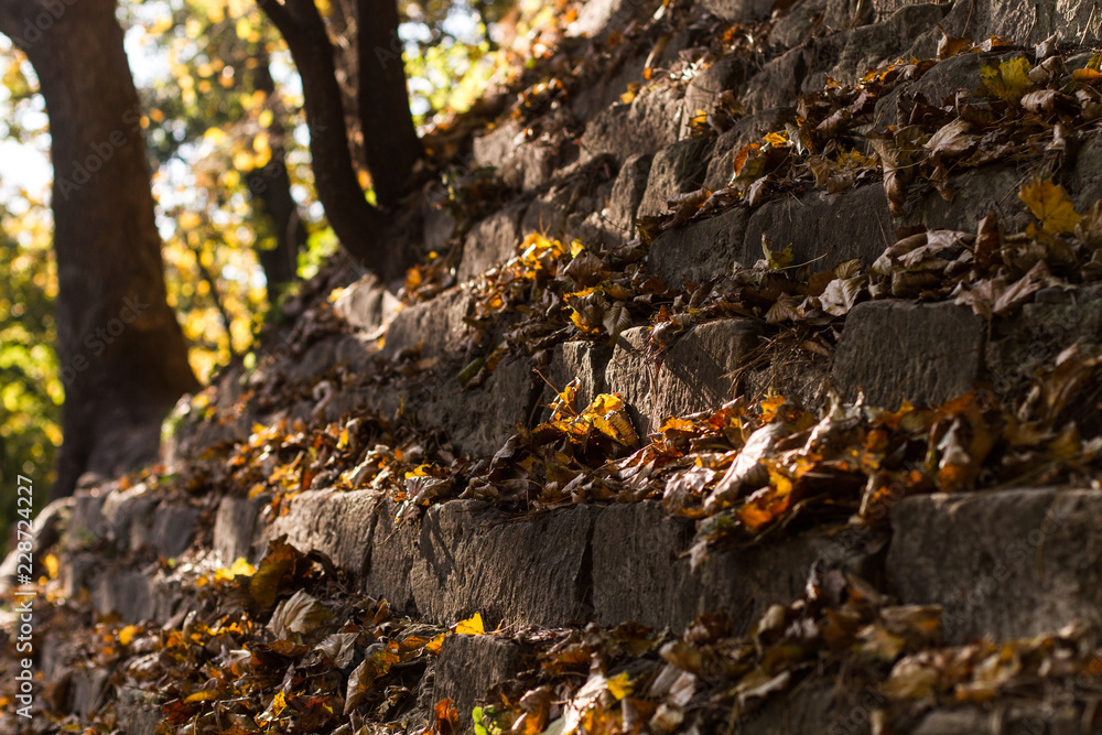 Autumn leaves on the gray rocks Autumn leaves on the gray rocks