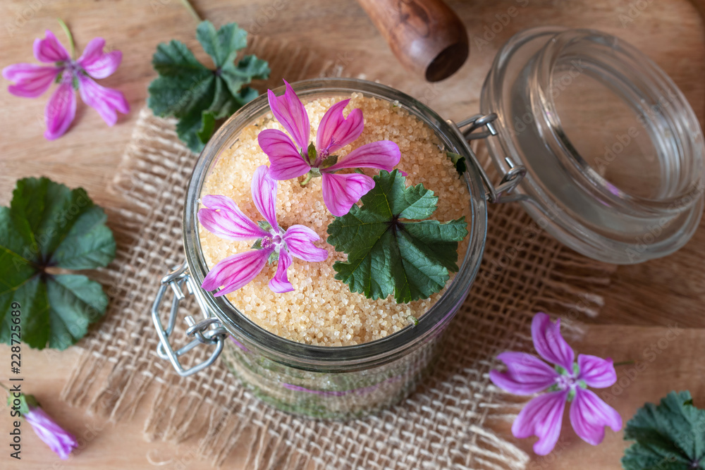 Preparation of common mallow syrup against cough in a jar