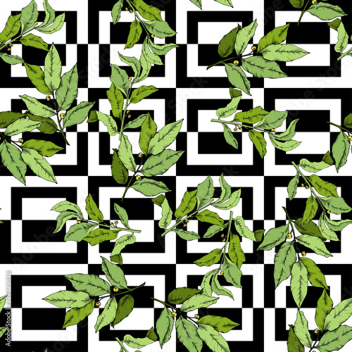 Vector green laurus leaf. Leaf plant botanical garden floral foliage. Seamless background pattern. Fabric wallpaper print texture. Vector leaf for background, texture, wrapper pattern, frame.
