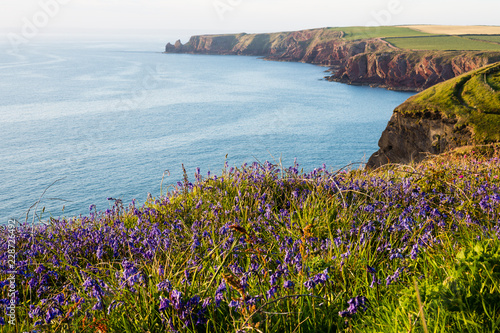24th May 2015, Pembrokeshire, Wales. Beautiful scenery on the Welsh coast.