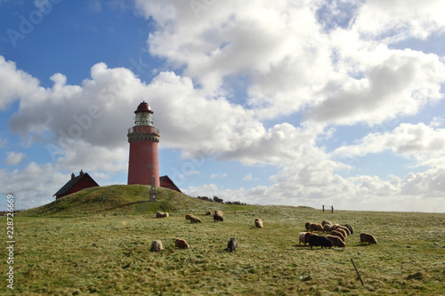 Landschaft am Meer in West-Jütland, Leuchtturm Bovbjerg Fyr, Trans