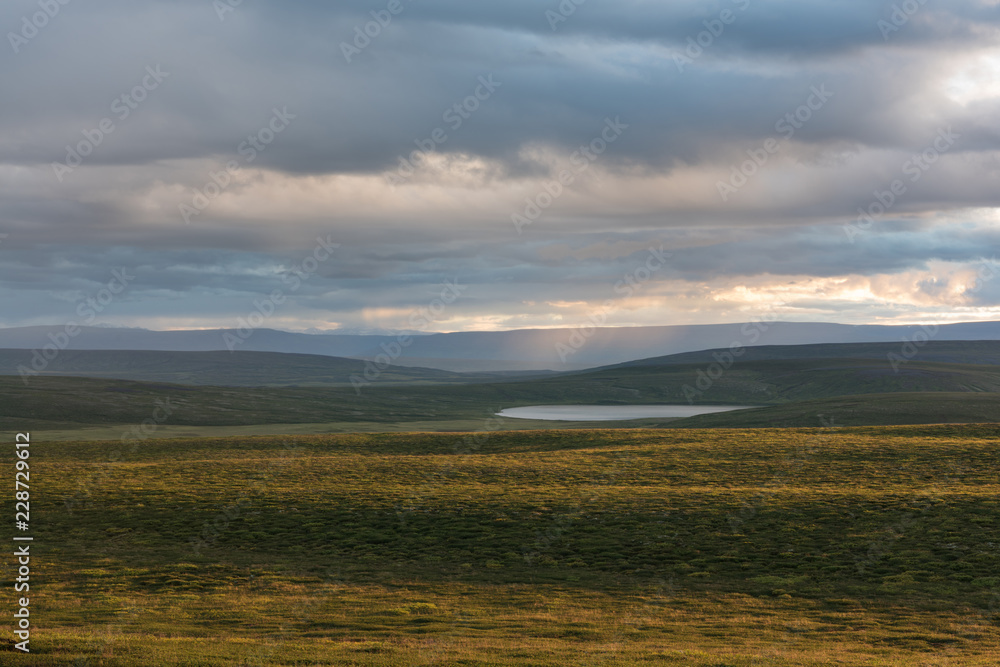 Majestic volcanic landscape covered with moss in Iceland highlands Majestic volcanic landscape covered with moss in Iceland highlands