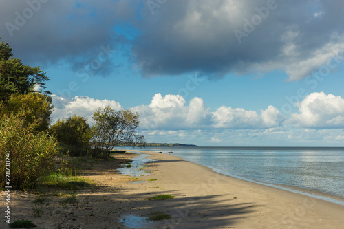 Fototapeta Naklejka Na Ścianę i Meble -  Baltic sea shore in Latvia. Sand dunes with pine trees and clouds.