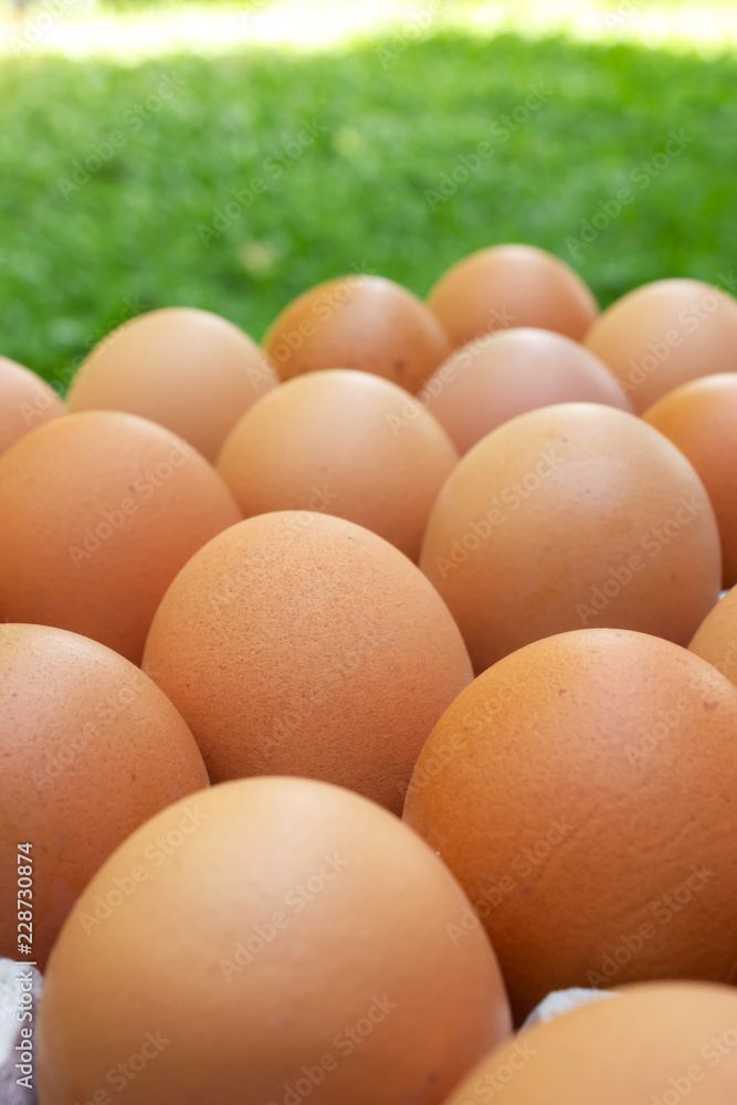 Closeup fresh egg in paper tray. Food ingredient. Closeup fresh egg in paper tray. Food ingredient.