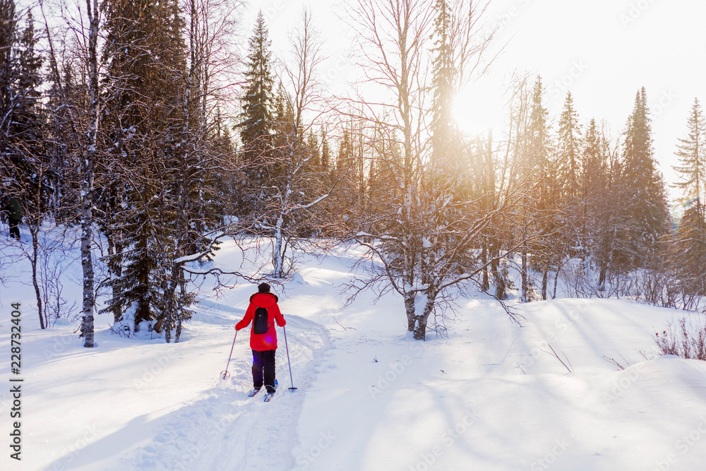 girl in a red jacket skiing in the woods in winter