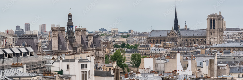 Paris, panorama of the city hall and the Notre-Dame cathedral on the ile de la Cite  
