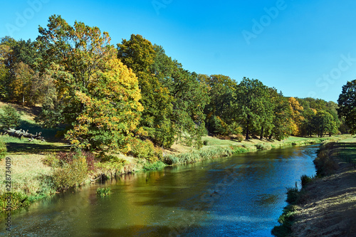 Trees on the banks of the Nysa   u  ycka during autumn on the border between Poland and Germany.