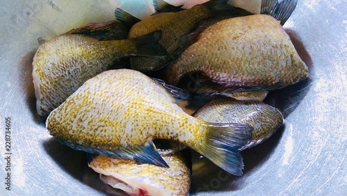 Cleaned fresh bream fish