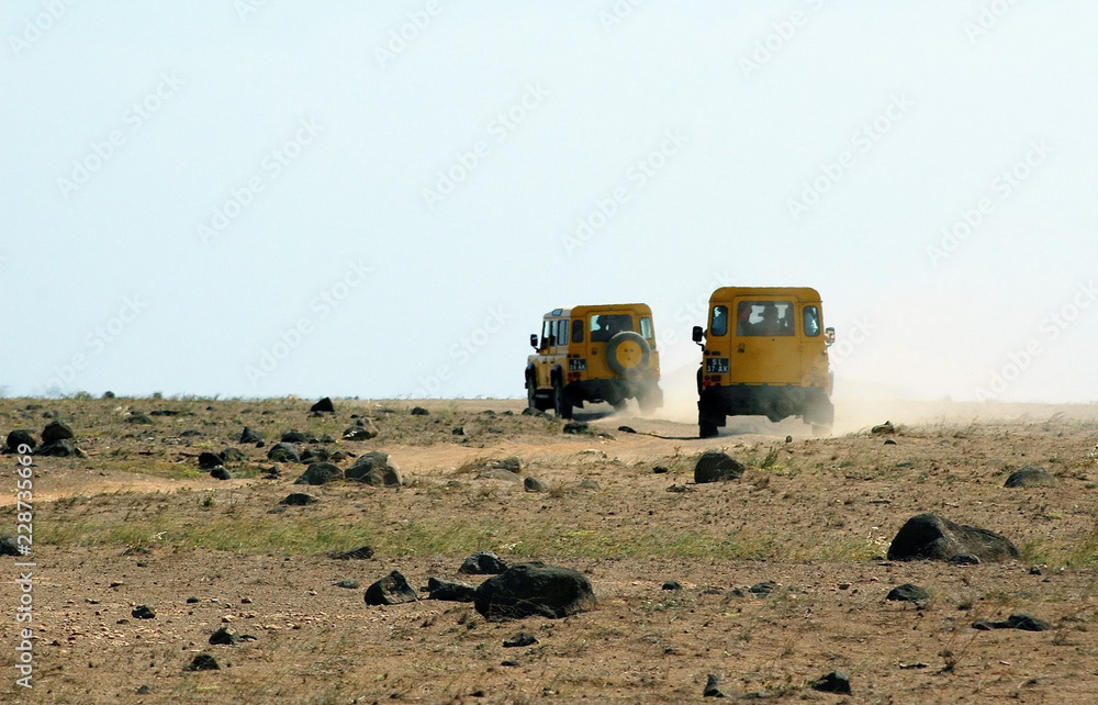 Deux Vehicules tout terrain (4x4) jaunes roulent sur une piste, Ile de Sal, le Cap vert, Afrique de l'ouest	