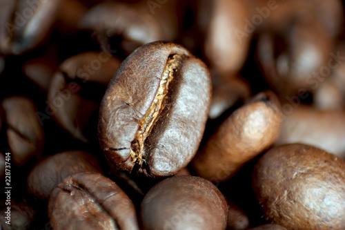 Coffee beans 