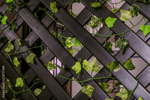 Home wooden decorative lattice fencing close-up