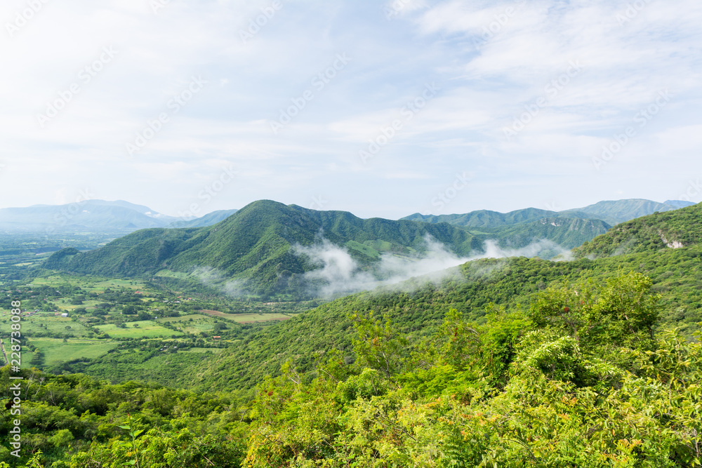 Fototapeta premium campo cuatro