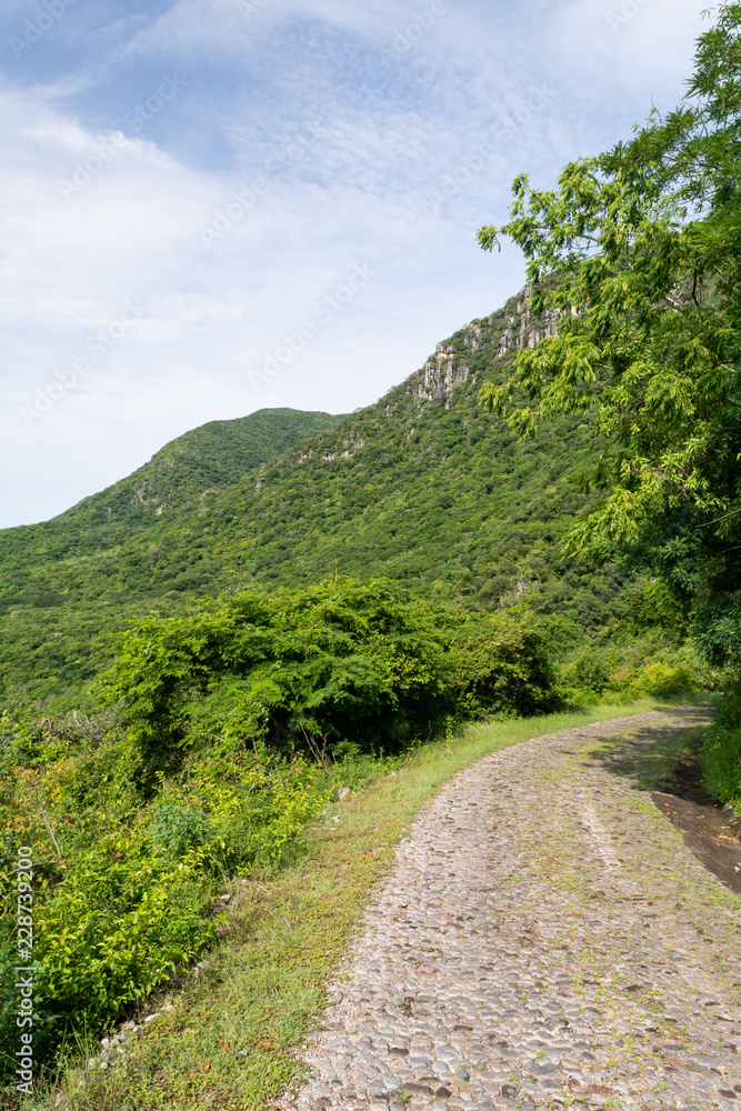 campo cuatro campo cuatro