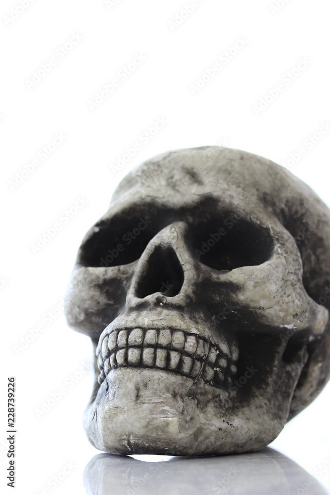 Halloween Skull with reflection Halloween Skull with reflection