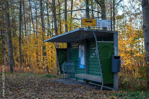 Busstop by the forest
