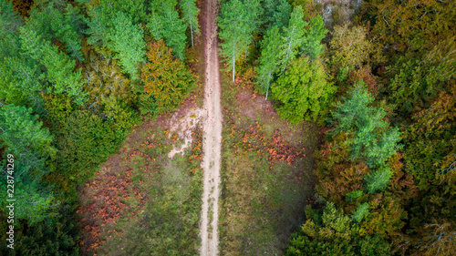 vue aérienne sur un chemin qui traverse la clairière d'un bois en automne