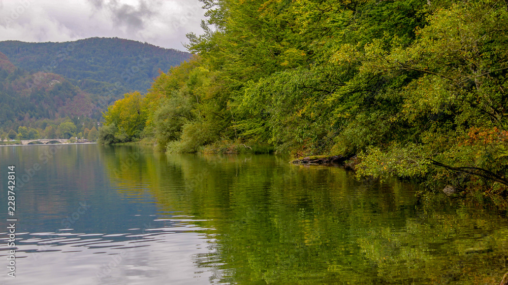 Details from Bohinj lake in national park Triglav - Slovenia
