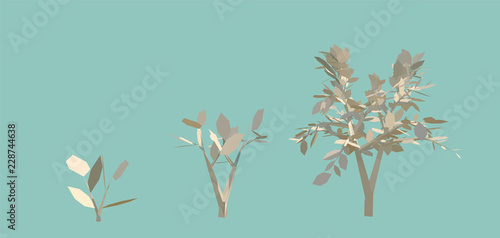 3D Eco Tree Stages of Growth. Life Cycle of a Beige Tree on Isolated Background Rendering